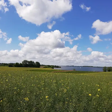 Apartman Buschmann *